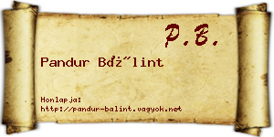 Pandur Bálint névjegykártya