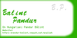 balint pandur business card