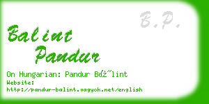 balint pandur business card